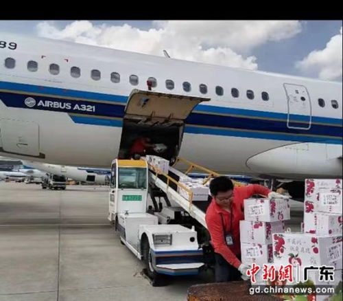 南航物流攜手廣東省農業農村廳助力‘荔’啟航，廣州物流賦能現代農業新篇章